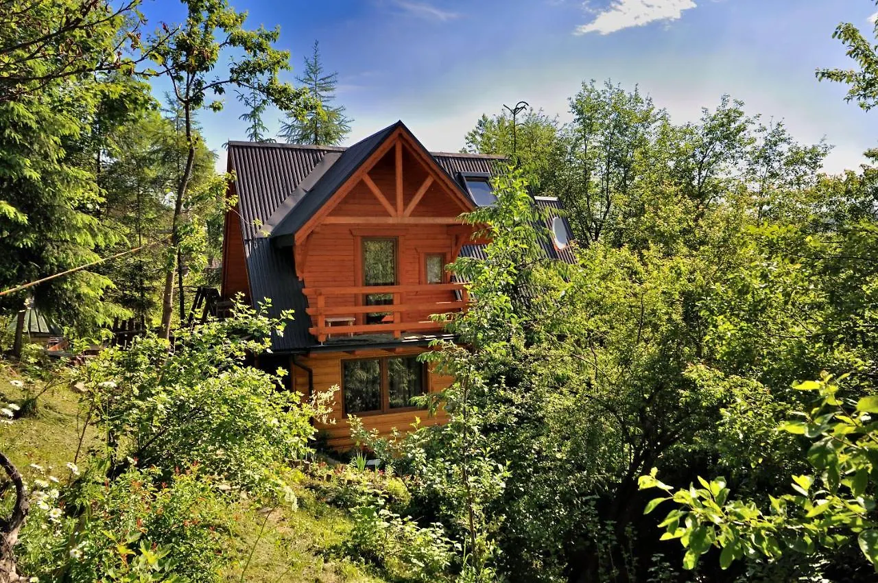 Domki Mroz Zakopane Poland