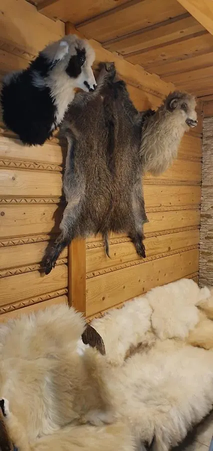Domki Mroz Zakopane Lodge