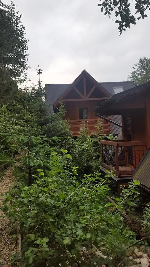 山林小屋 Domki Mroz 扎科帕内