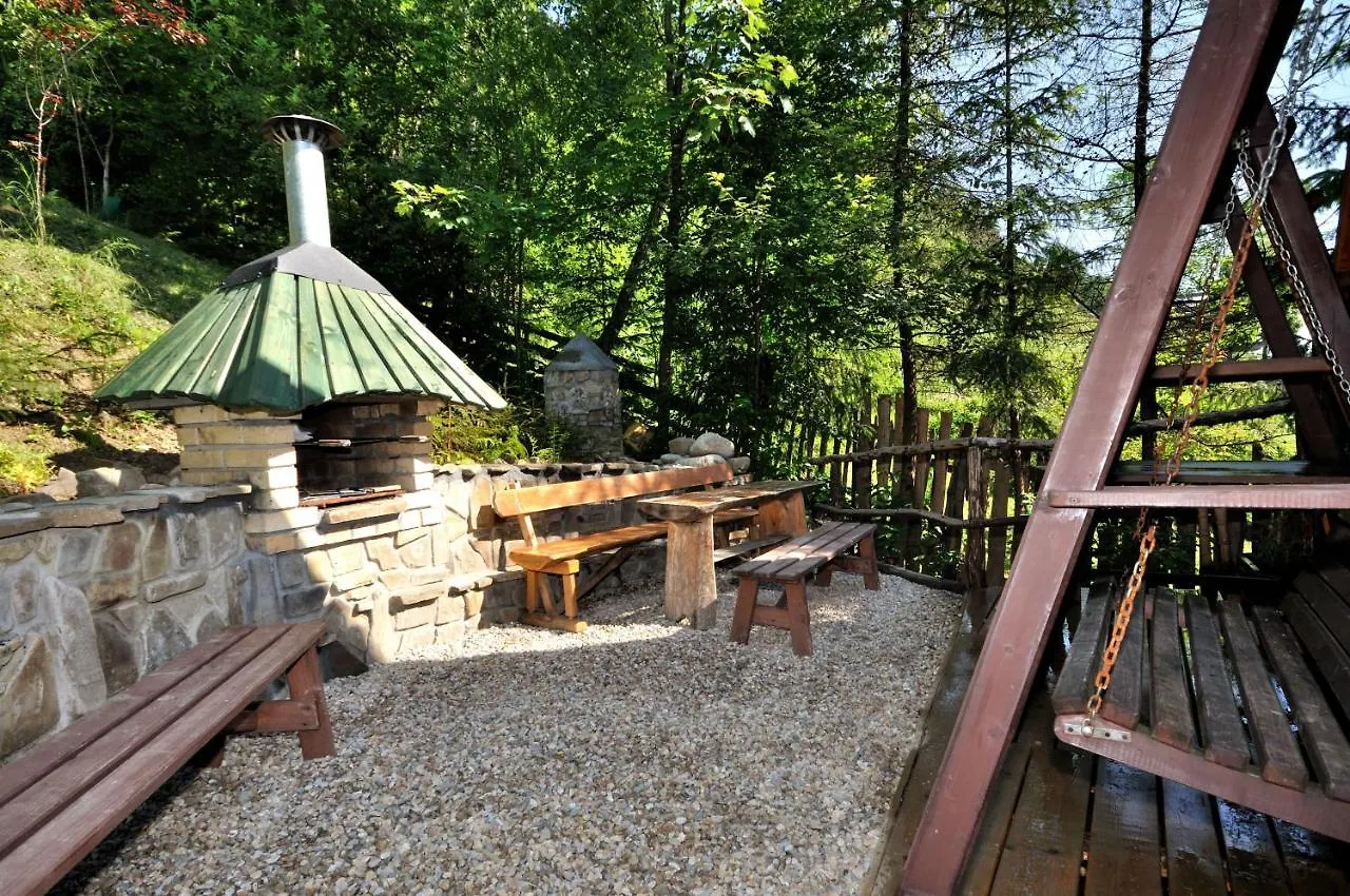 Domki Mroz 扎科帕内 山林小屋