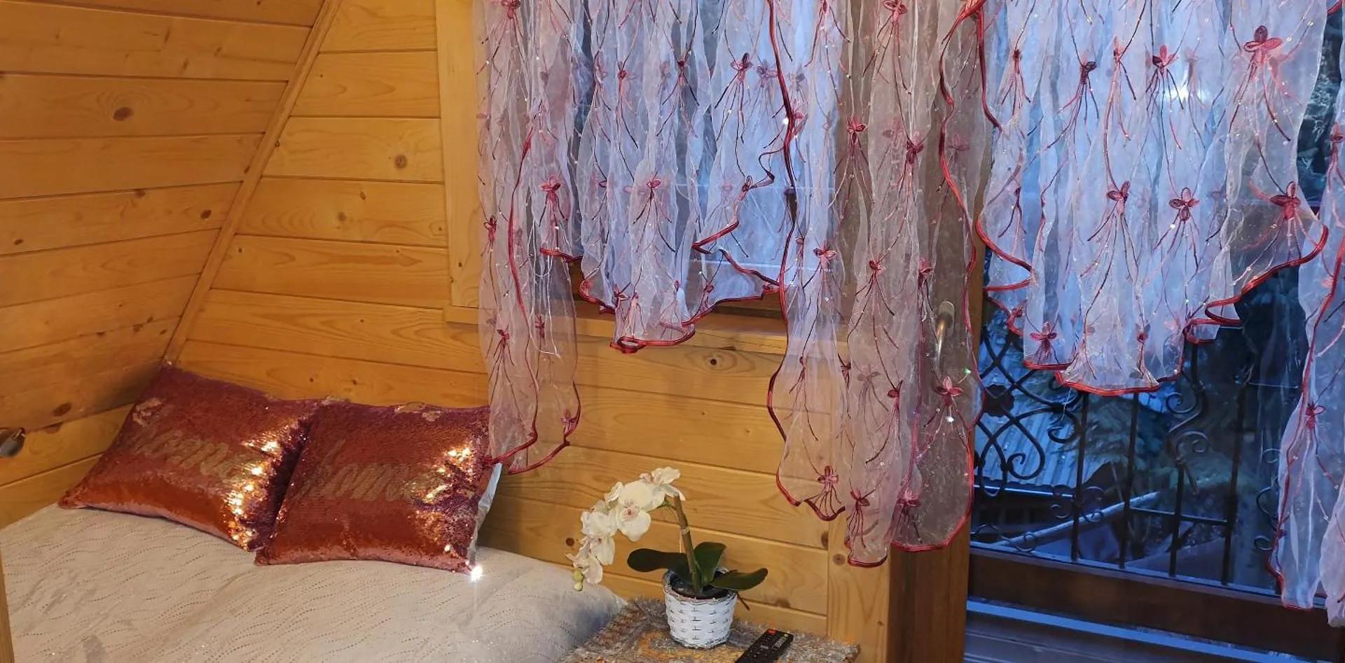 Domki Mroz 扎科帕内 山林小屋