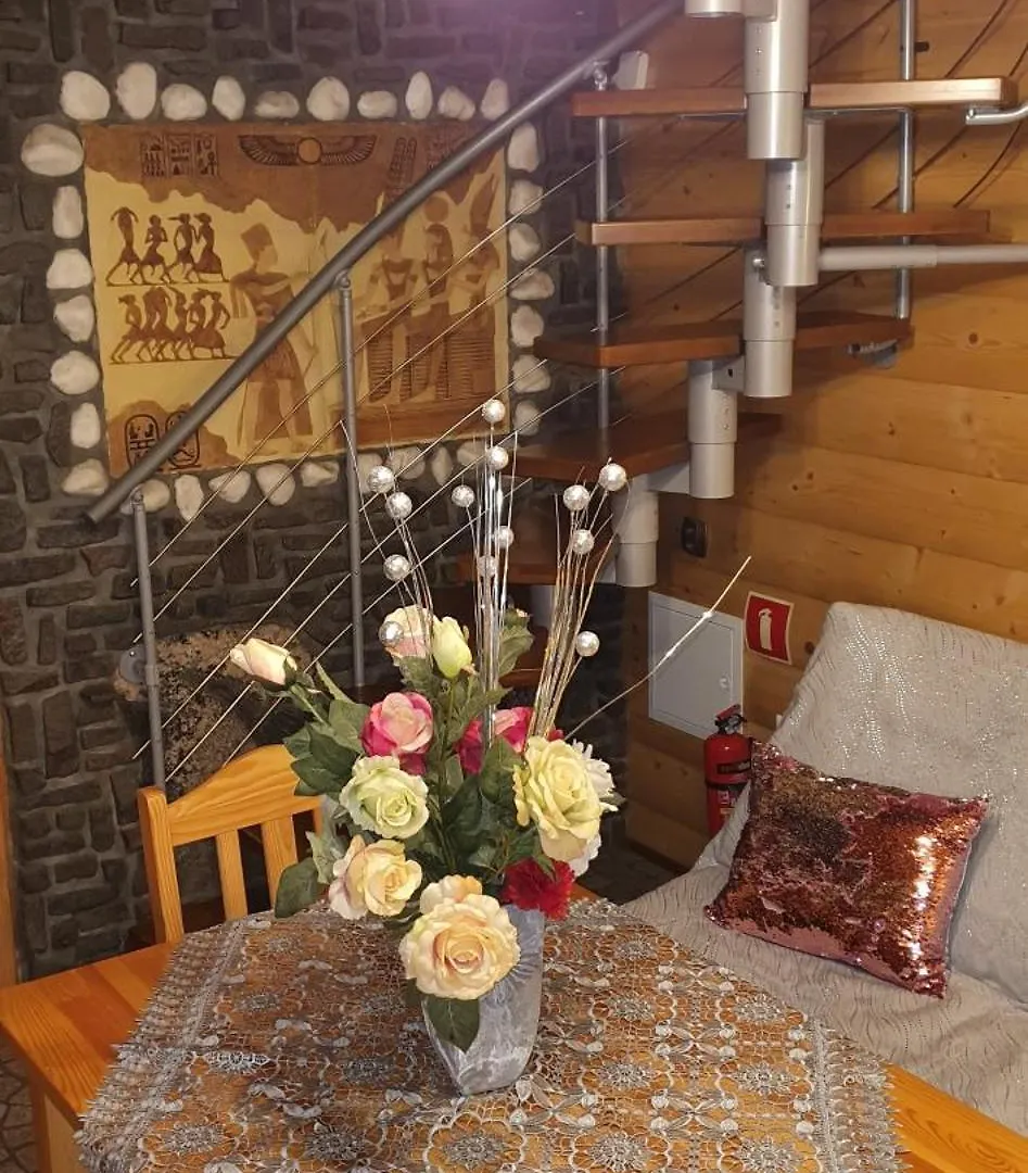 Domki Mroz 扎科帕内 山林小屋